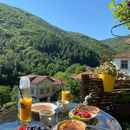 Villa хаджиевата къща