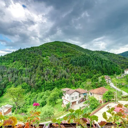 хаджиевата къща *