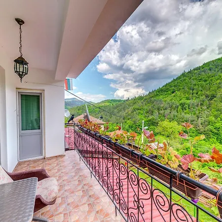 хаджиевата къща 빌라 *