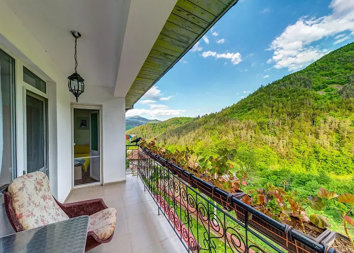 хаджиевата къща