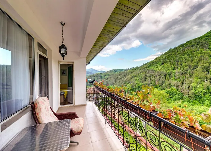 хаджиевата къща