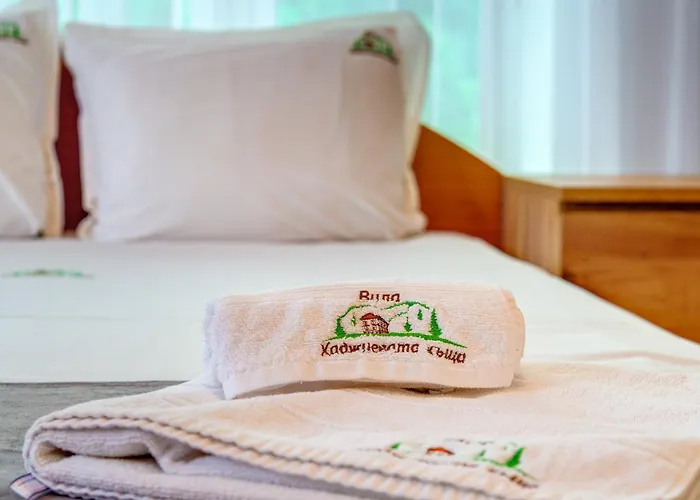 Vila хаджиевата къща